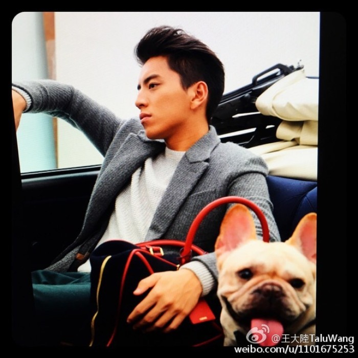 王大陆傻黑甜,傻黑甜王大陆最新视频