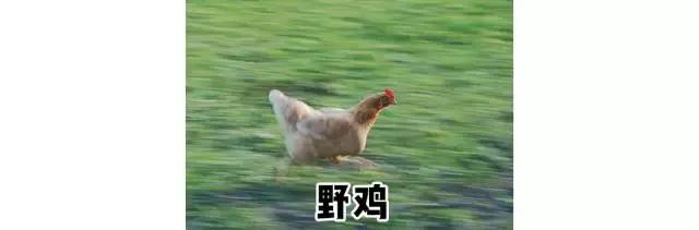 屈臣氏最值得买的东西十一月好物,2022年屈臣氏最值得购买的好物