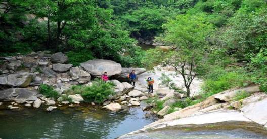 词风雅韵-冯振宇｜千条溪水奔流去万顷荷花娇艳红