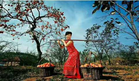 词风雅韵-冯振宇｜千条溪水奔流去万顷荷花娇艳红