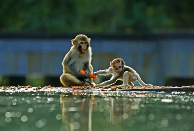 京津冀，听说你们缺一份避暑攻略？驿雲小编已给你们备好！