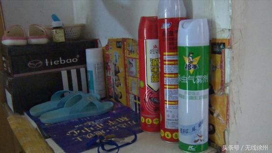 徐州防治白蚁包括什么,徐州附近白蚁防治