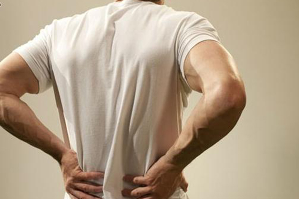 这个动物的尾巴补气之功可与人参媲美，还可以益肾精！