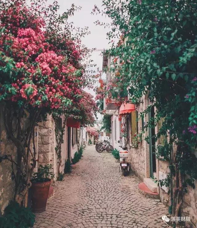 理财那些坑你一定要知道,理财为什么说是骗局呀