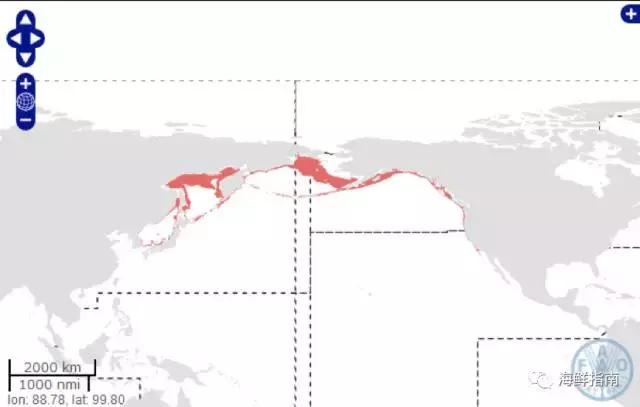 鳕鱼科普小知识,鳕鱼cod科普