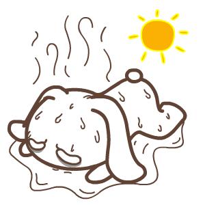 38度的天怎么凉快,38度高温烈日下