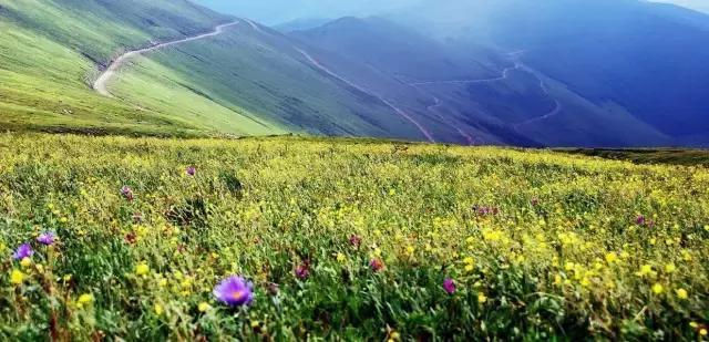 第一次去五台山最应该去哪个寺院,五台山自驾游攻略五台山地图