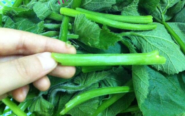 吸烟的十大伤害十大疾病,吸烟在中医上的作用与功效有哪些