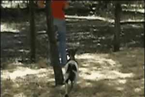 怎么制作网站免费视频教程,初中自学免费网站