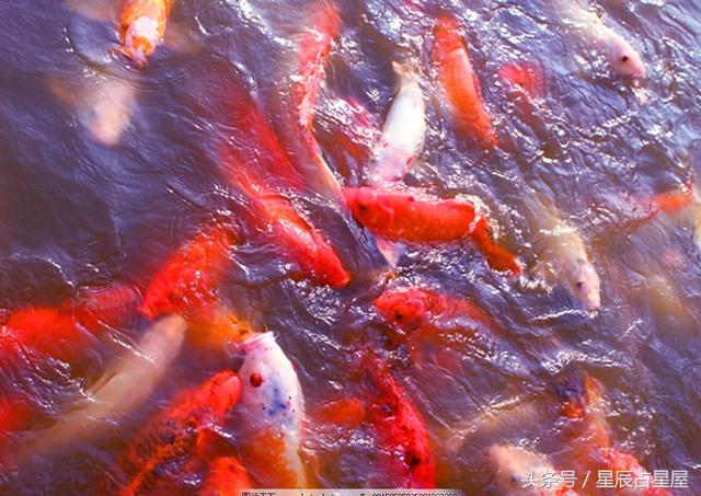 转运最快的小技巧是什么,有什么办法可以转运