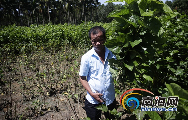 驻村生活vlog,农村驻村扶贫vlog