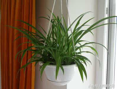 600块钱买个棕簧两用床垫,600元买个什么床垫