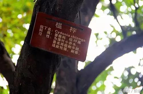 闄や簡楣呮ⅷ棣欒繕鏈変粈涔堥,闄や簡楣呮ⅷ棣欒繕鏈変粈涔堥濂介椈