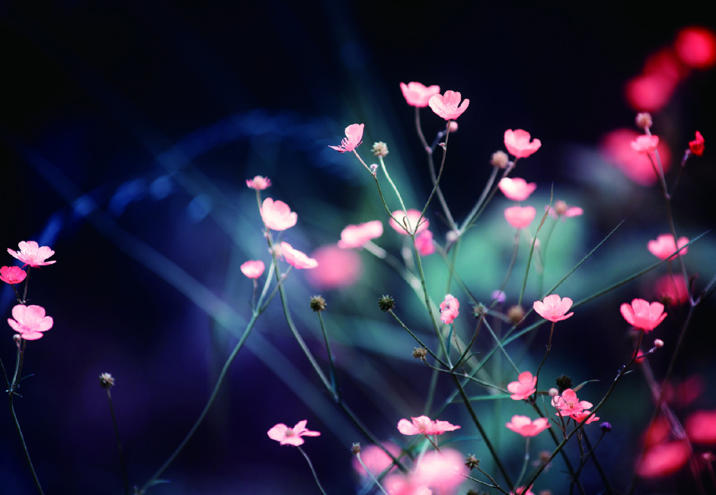 西安模特阿颖最新视频,西安阿颖