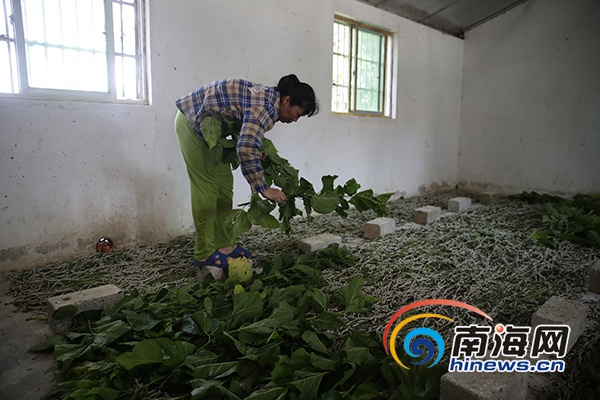 驻村生活vlog,农村驻村扶贫vlog