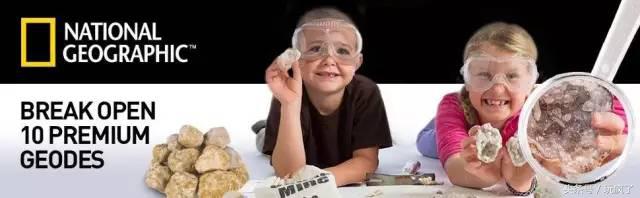 2020美国最受欢迎玩具,steam十大必买游戏免费