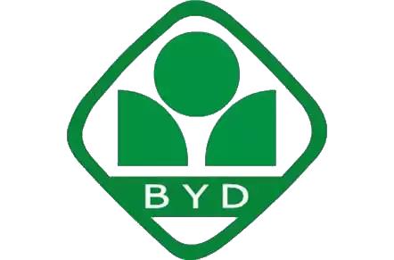 深圳亚迪学校和深圳中学,深圳亚迪学校靠谱吗