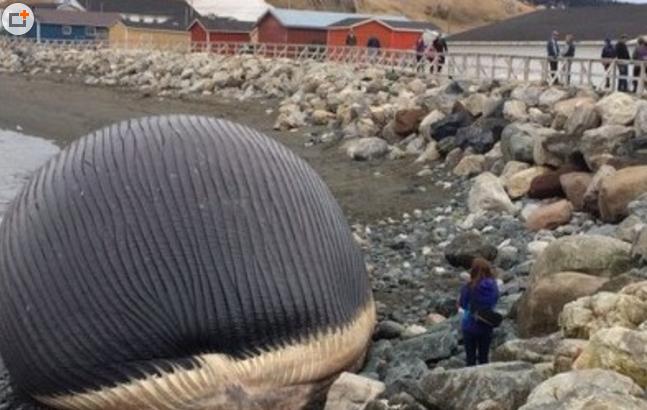 放屁的11个知识,18个你不知道的冷知识