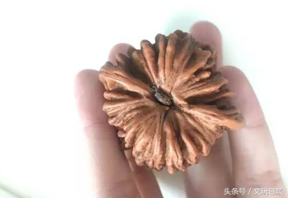 教您几招就能识破假核桃,核桃作假新玩法