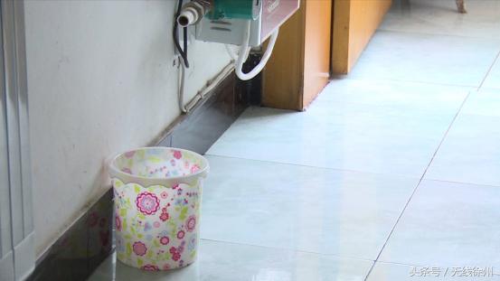 徐州防治白蚁包括什么,徐州附近白蚁防治