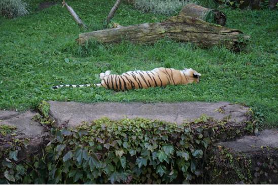 林肯公园名字由来,林肯公园是什么意思