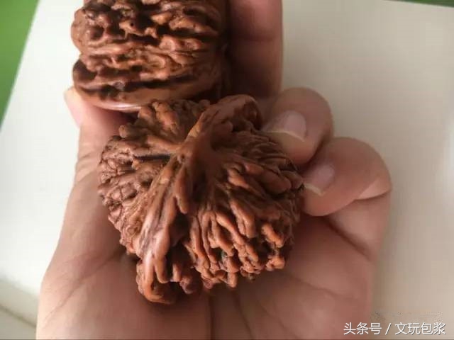 教您几招就能识破假核桃,核桃作假新玩法