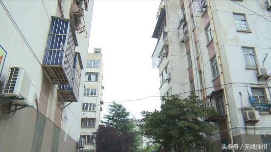 徐州防治白蚁包括什么,徐州附近白蚁防治