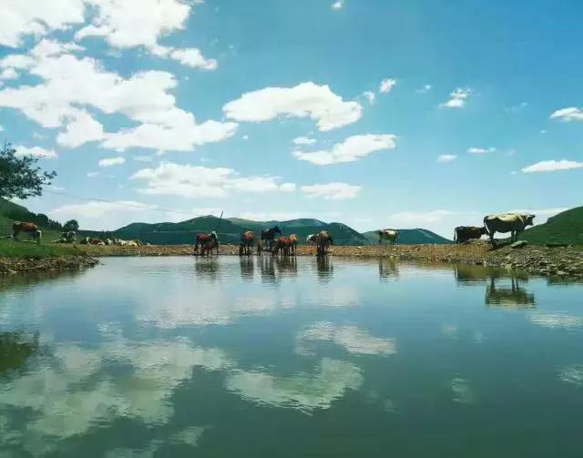 第一次去五台山最应该去哪个寺院,五台山自驾游攻略五台山地图