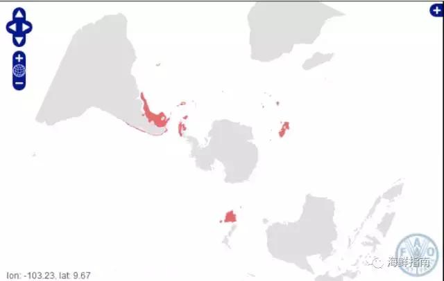 鳕鱼科普小知识,鳕鱼cod科普