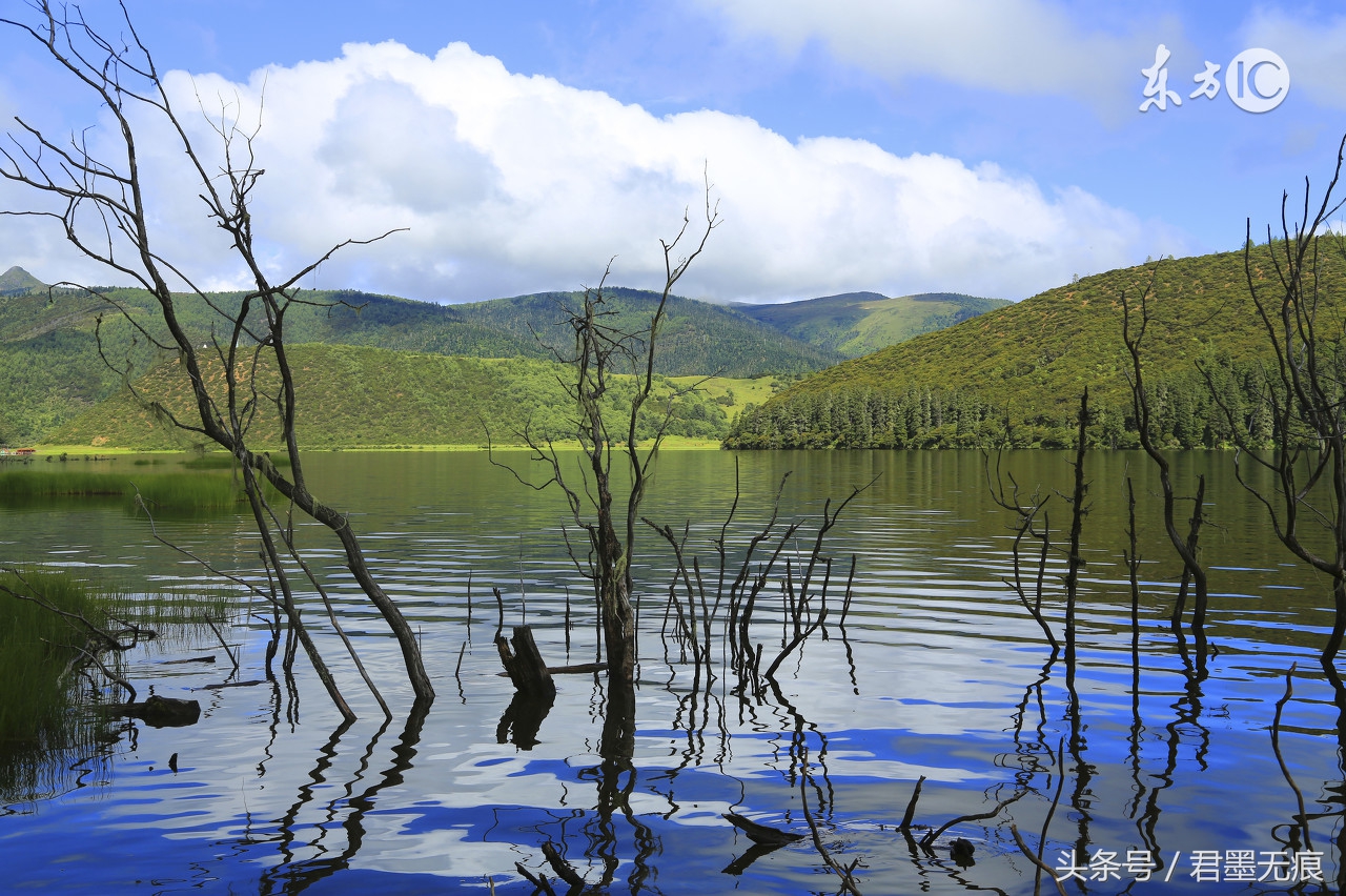 情蛊需要两情相悦才能种吗,巫蛊常用的蛊虫