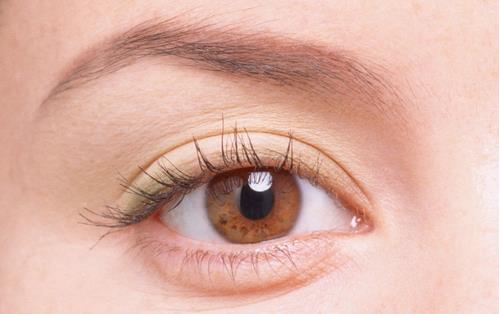 水肿体质是肾脏问题吗,水肿是肾不好还是脾不好