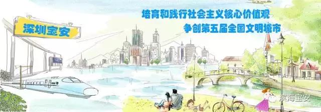 松岗体育中心视频,松岗体育中心