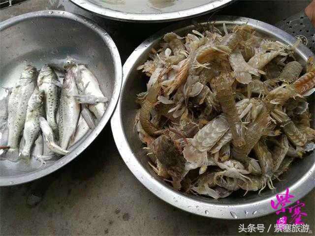 紫塞农家小院介绍,紫塞京津冀农家院