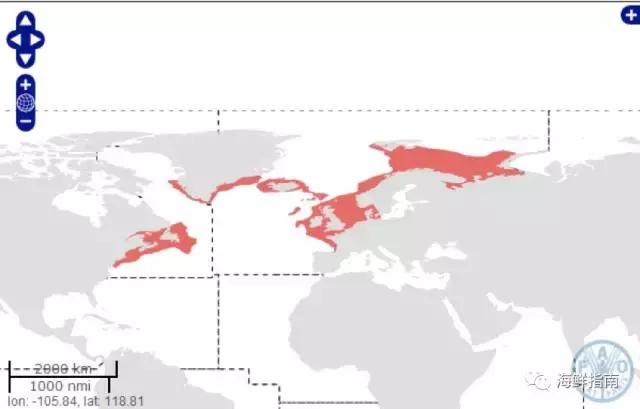 鳕鱼科普小知识,鳕鱼cod科普