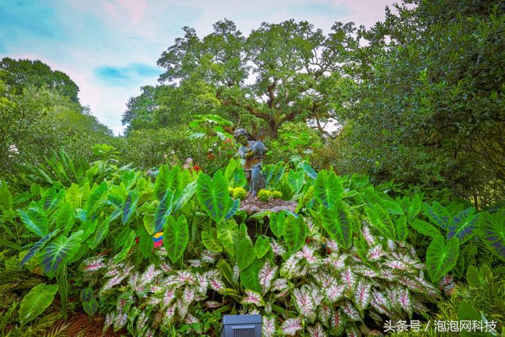 我在美国吃麻小佳能EOS路易斯安那随拍