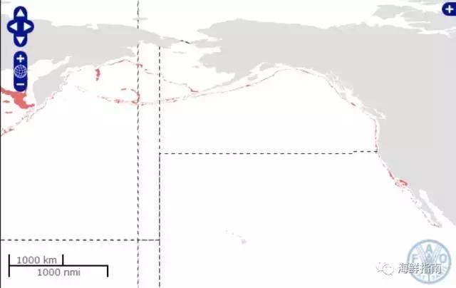 鳕鱼科普小知识,鳕鱼cod科普