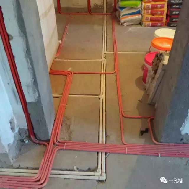 推开门我误以为自己闯入了海洋精灵的家