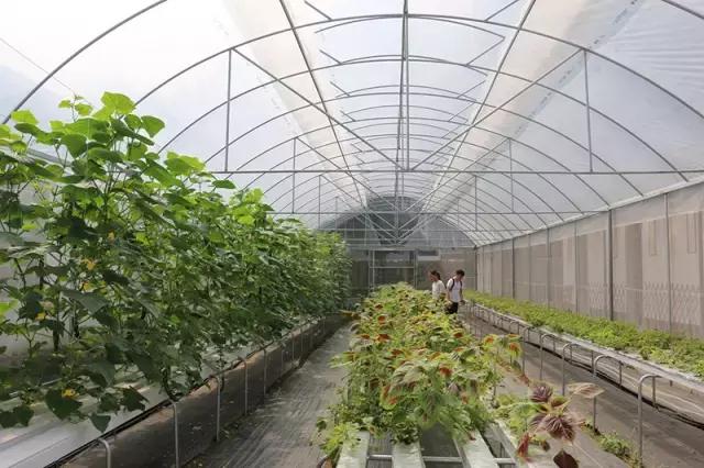 肇庆无动力亲子乐园,肇庆夏季亲子旅游推荐地方