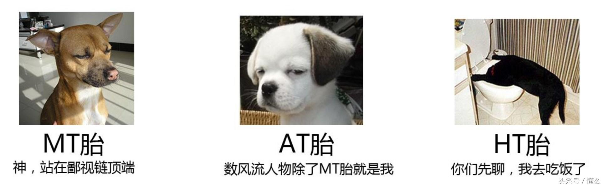 at胎和mt胎哪个耐磨,越野发烧友
