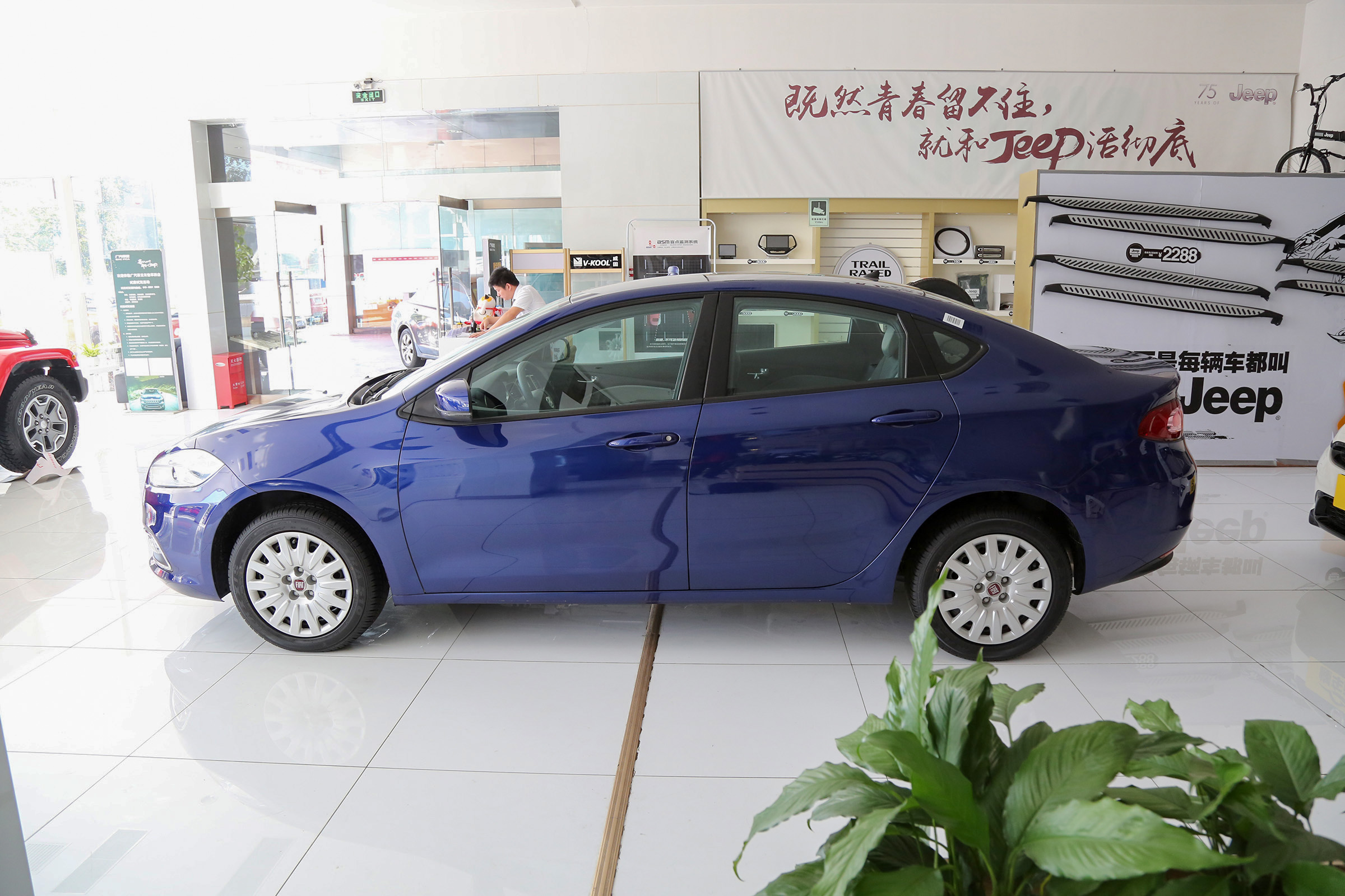 走近科学信鸽,走近科学可信吗