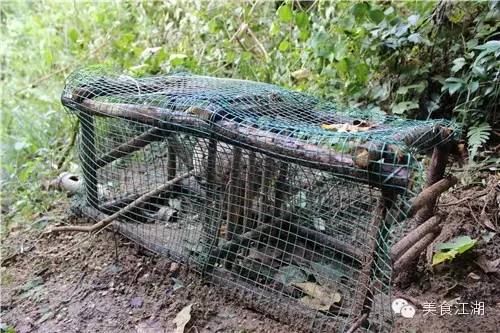 美食有一种情怀叫老味道,美食江湖情