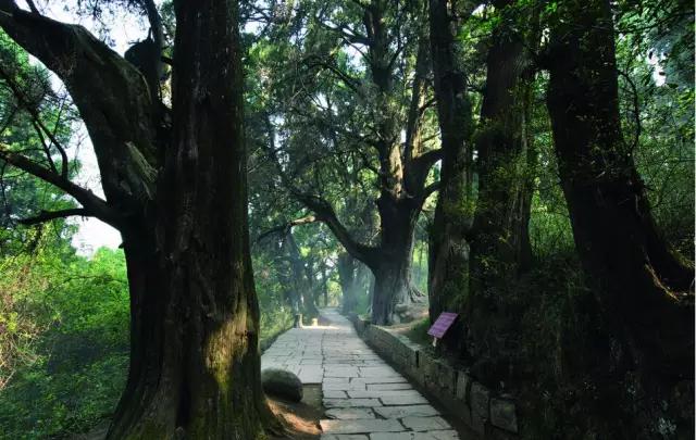 广元剑门关好耍不,广元昭化古镇两日游最佳安排