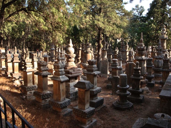 寻金记之金蛤封印完整版,寻金记视频完整版