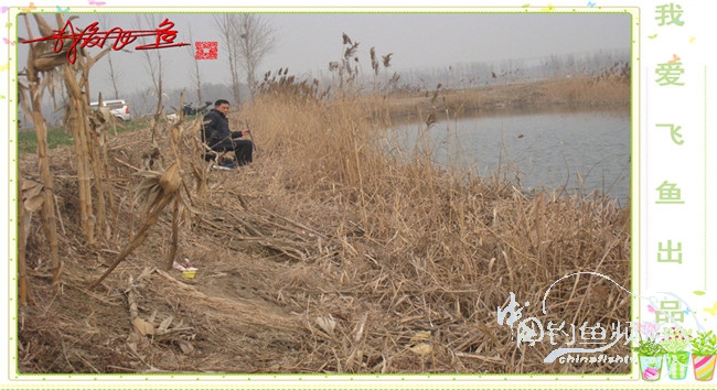 2016之我爱飞鱼觅得好钓点