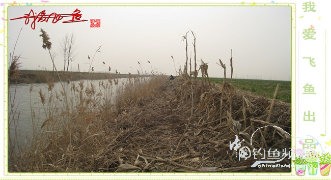 2016之我爱飞鱼觅得好钓点