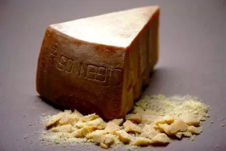 陷阱里的奶酪到底是个什么东西？