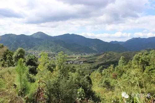 美食有一种情怀叫老味道,美食江湖情