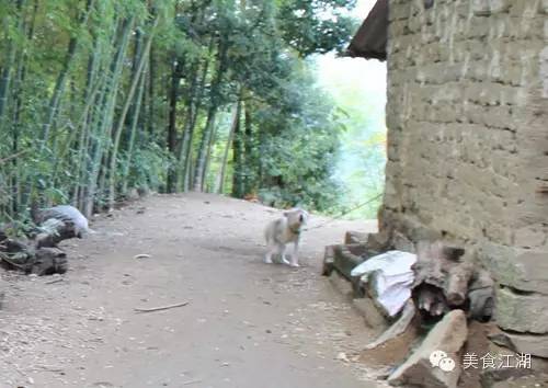 美食有一种情怀叫老味道,美食江湖情