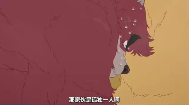 日本和动物有关的动画片,看小动物的动画片