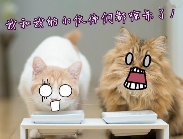 只不过因为在敏感季用了年前的化妆品，她再也不想去踏春了！